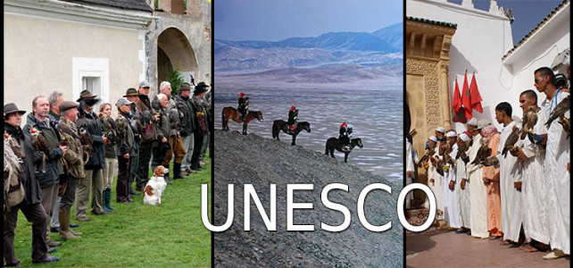 Sokolnictví v UNESCO